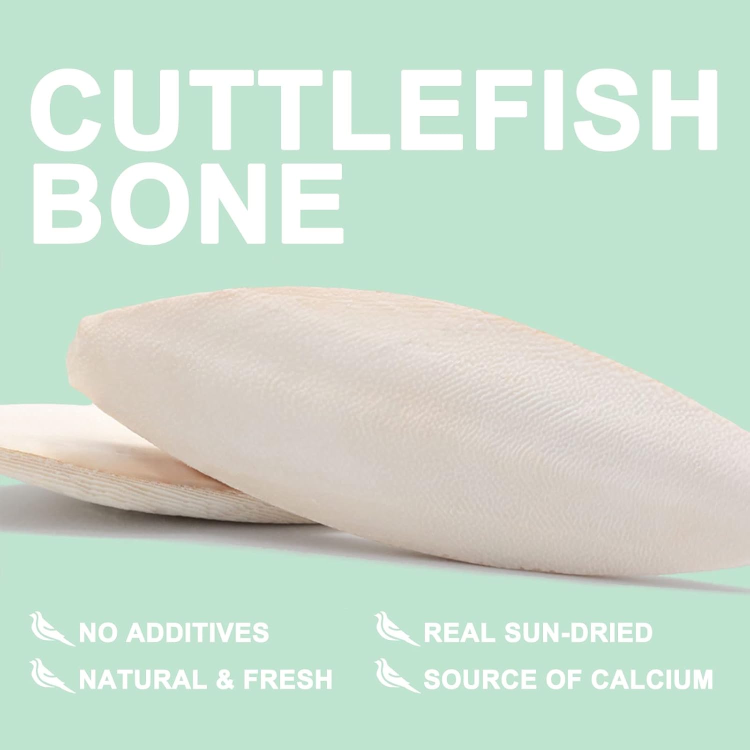 Natural Cuttlebone for Birds Parakeets Canaries Cockatiels Small Conures Mynahs Toucans African Greys All Parrots Snails Totoise, with Holder for Bird Cage (5.5-6 Inch,2Pcs)