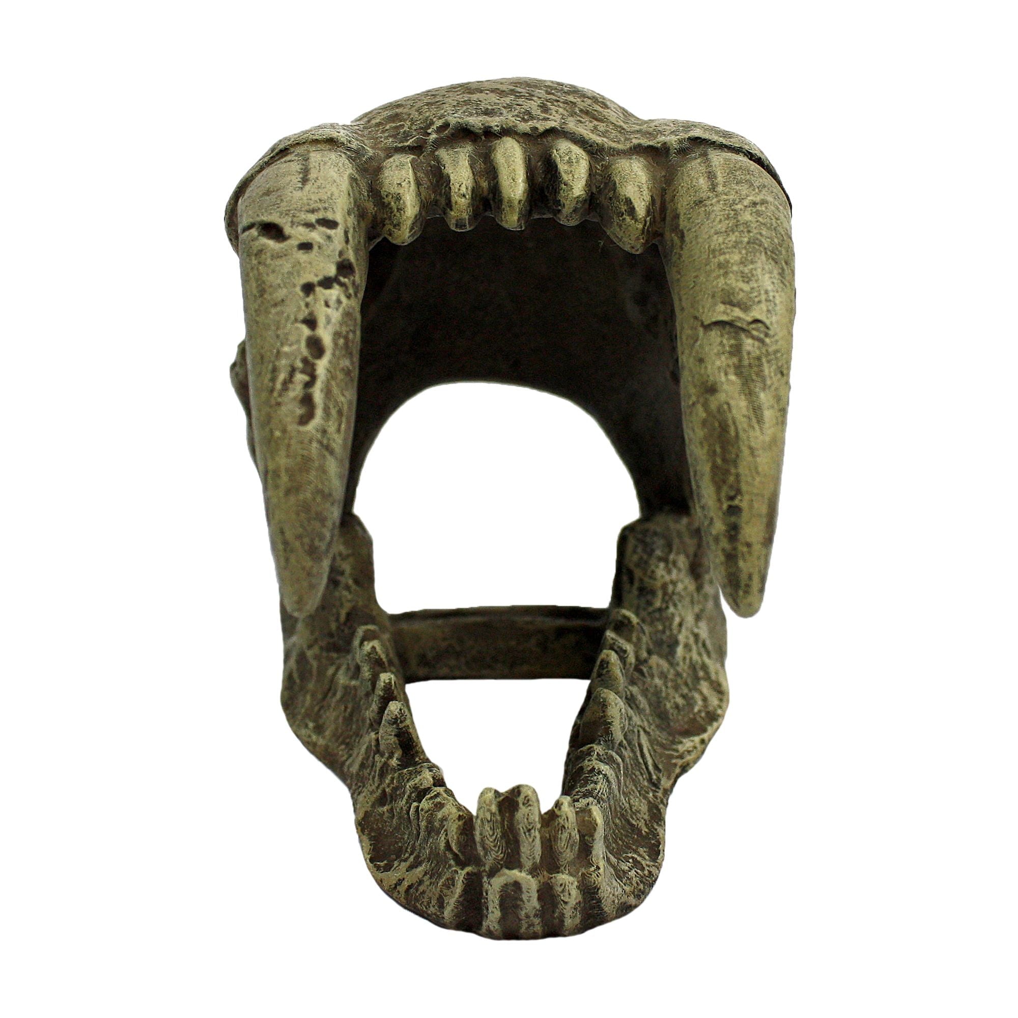 Saber Tooth Skull Decor for Aquarium or Reptile Tank, Polyresin, Aquarium Decor, Bone Color